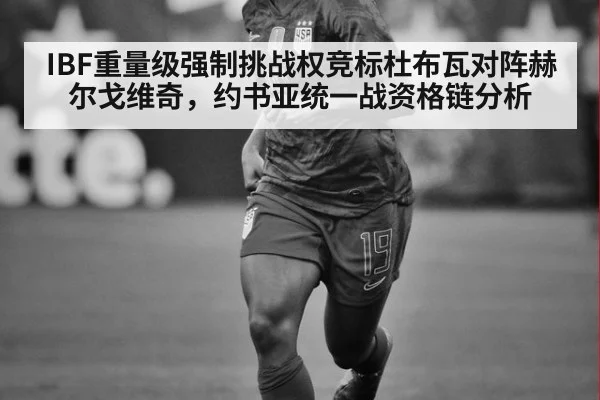 IBF重量级强制挑战权竞标杜布瓦对阵赫尔戈维奇，约书亚统一战资格链分析